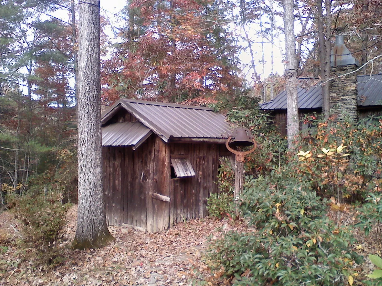 Small metal roof on a rough sawn shed in the woods in Lindale